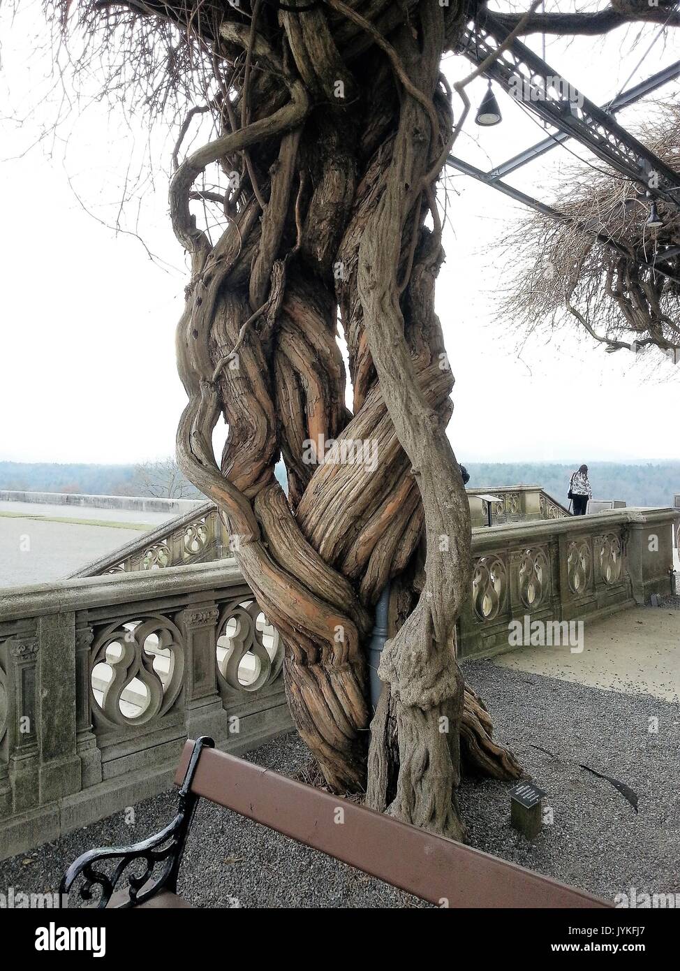 Biltmore Estate a Asheville Foto Stock