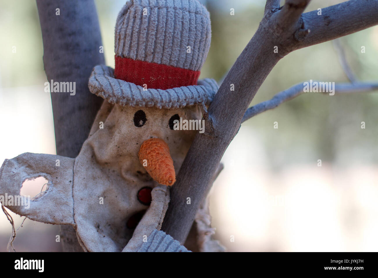 2017 365 69 così stanco (33354550015) Foto Stock