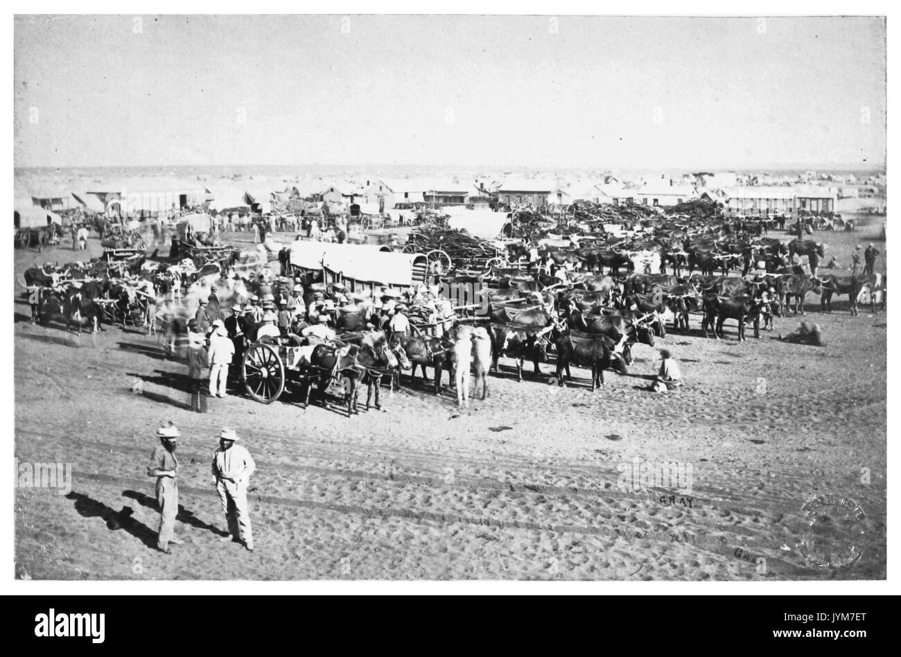 DF1873 Il nuovo mercato Rush Foto Stock