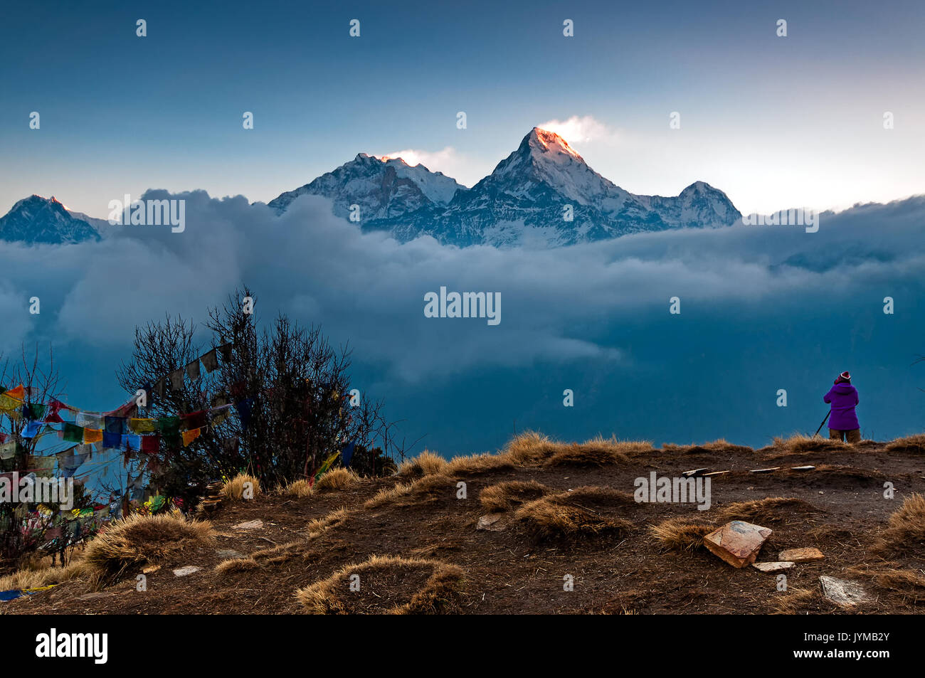 Persona non identificata prendendo foto di Annapurna mountain range a Poon hill view point in Nepal. Poon Hill è una popolare meta di escursionisti in Foto Stock