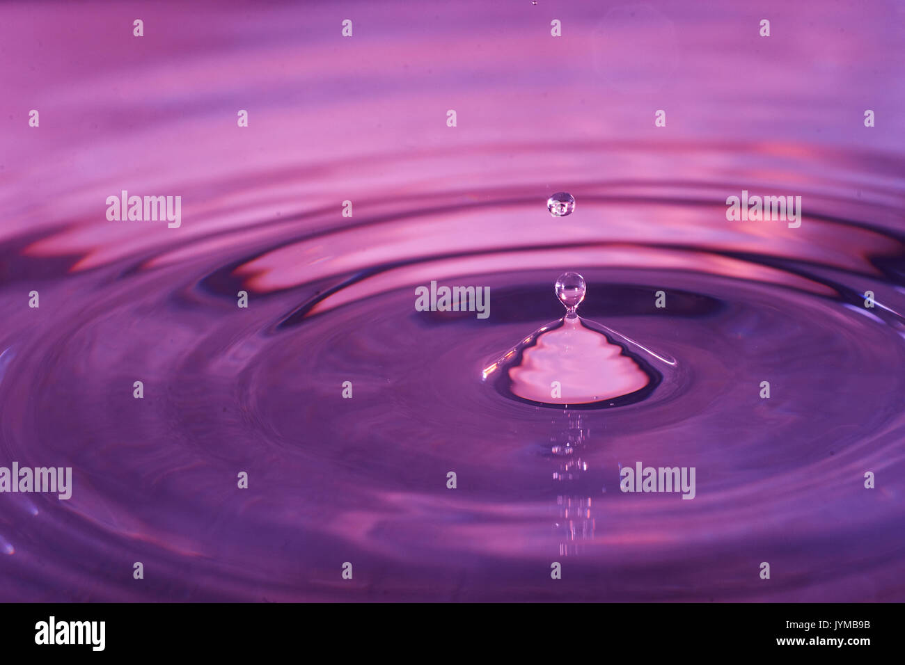 Macro shot della goccia d'acqua e viola e tonificante. Foto Stock