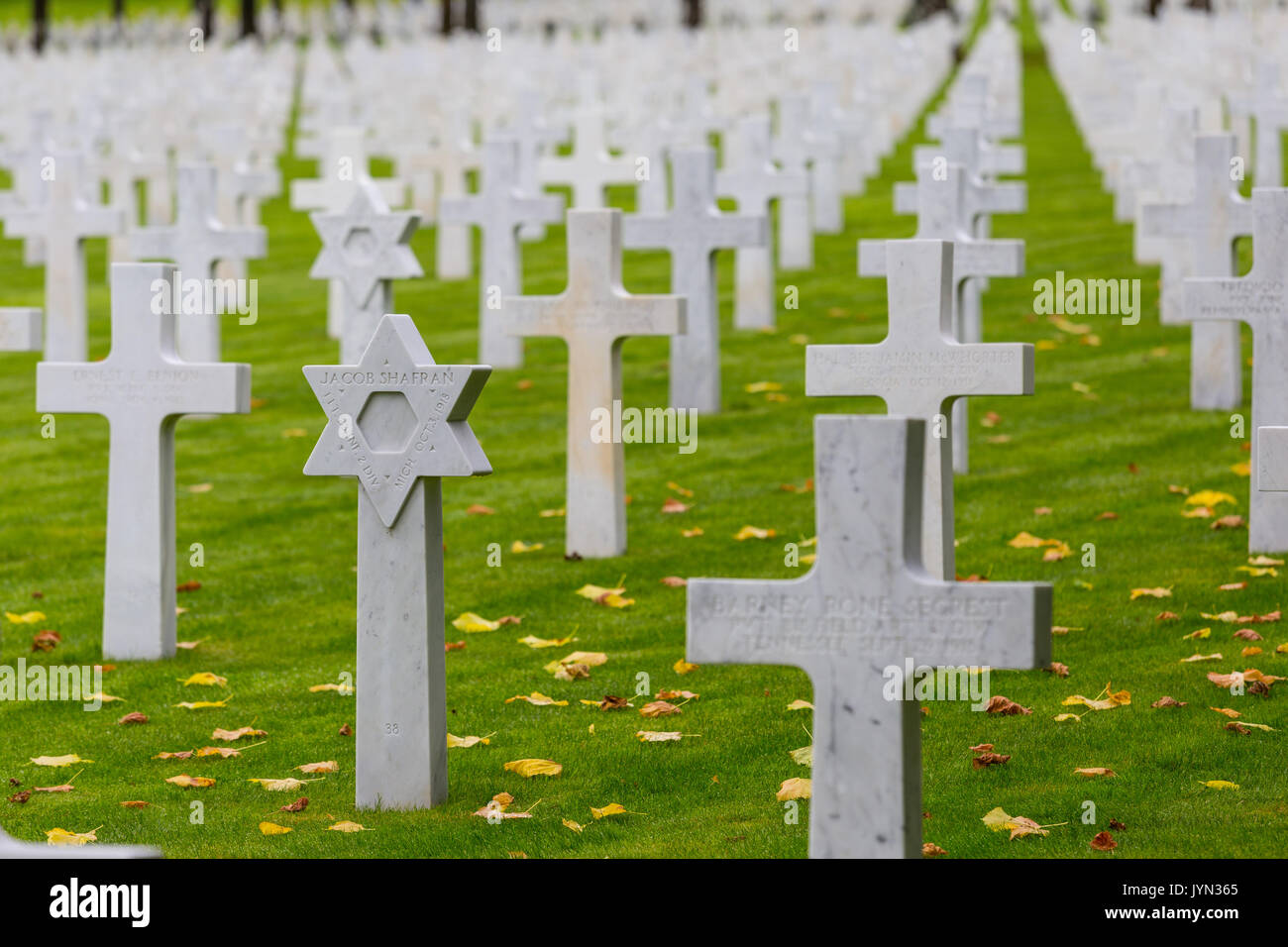 Righe di marmo bianco lapidi in Meuse-Argonne WW1 americano cimitero militare, della Mosa, Francia Foto Stock