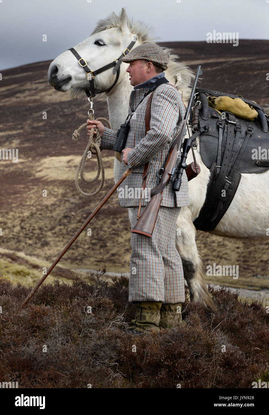 Cervo Stalking su Blair Atholl estate in Scozia Foto Stock