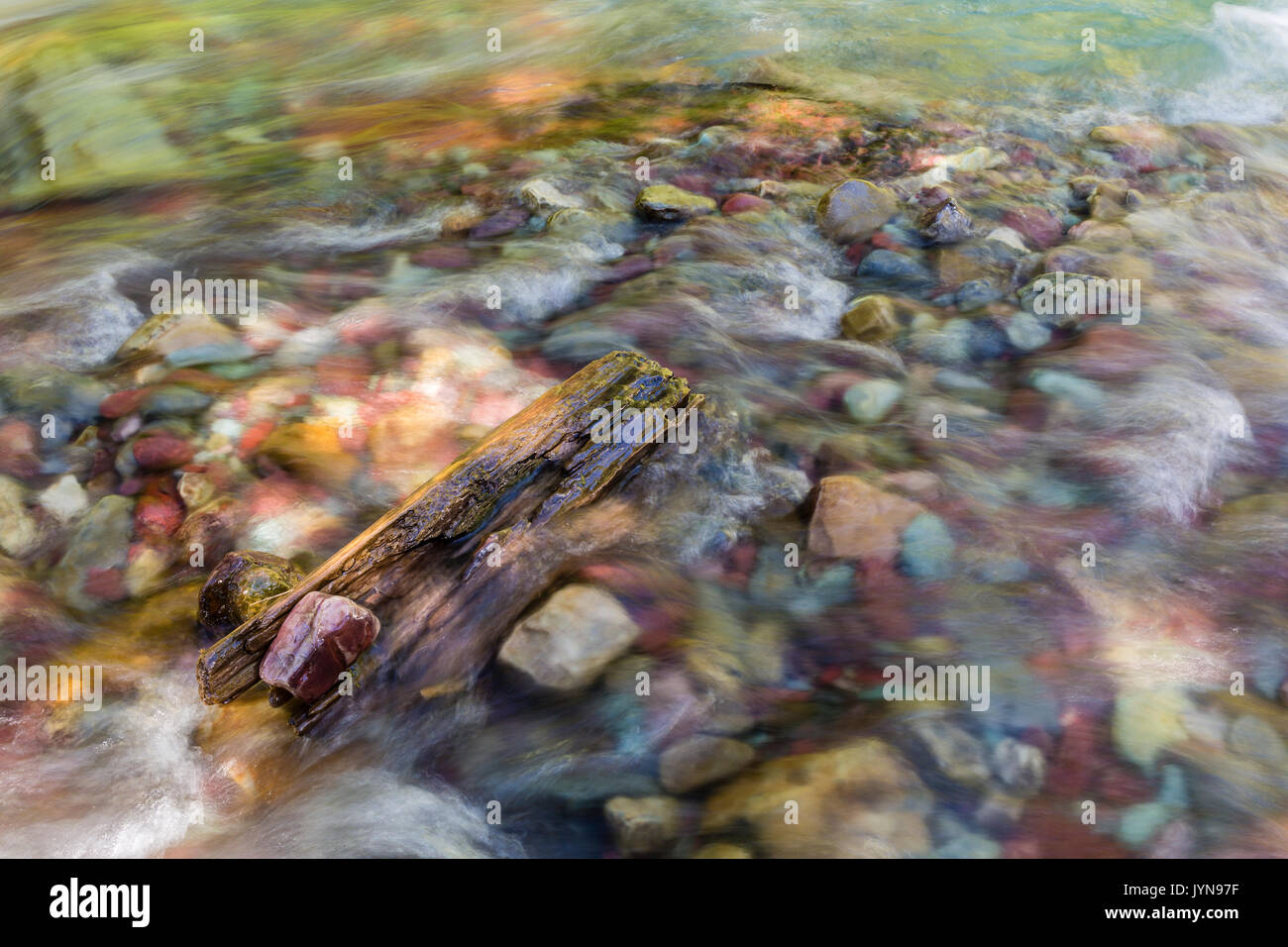 Le acque cristalline di Wilbur Creek giunchi oltre il fiume Colorful rocce nel Parco Nazionale di Glacier, Montana Foto Stock