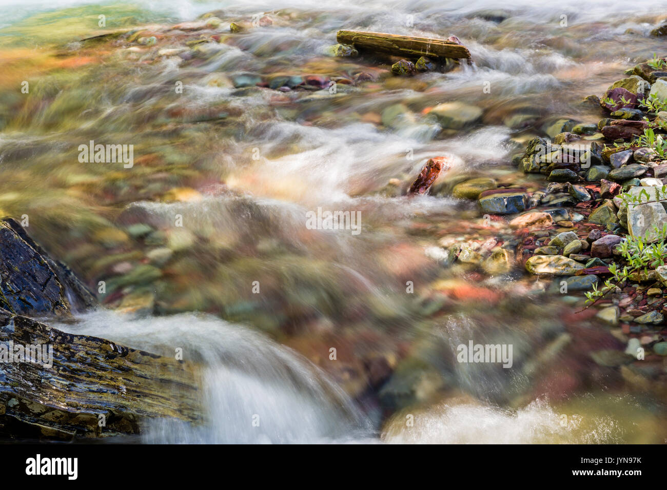 Le acque cristalline di Wilbur Creek giunchi oltre il fiume Colorful rocce nel Parco Nazionale di Glacier Foto Stock