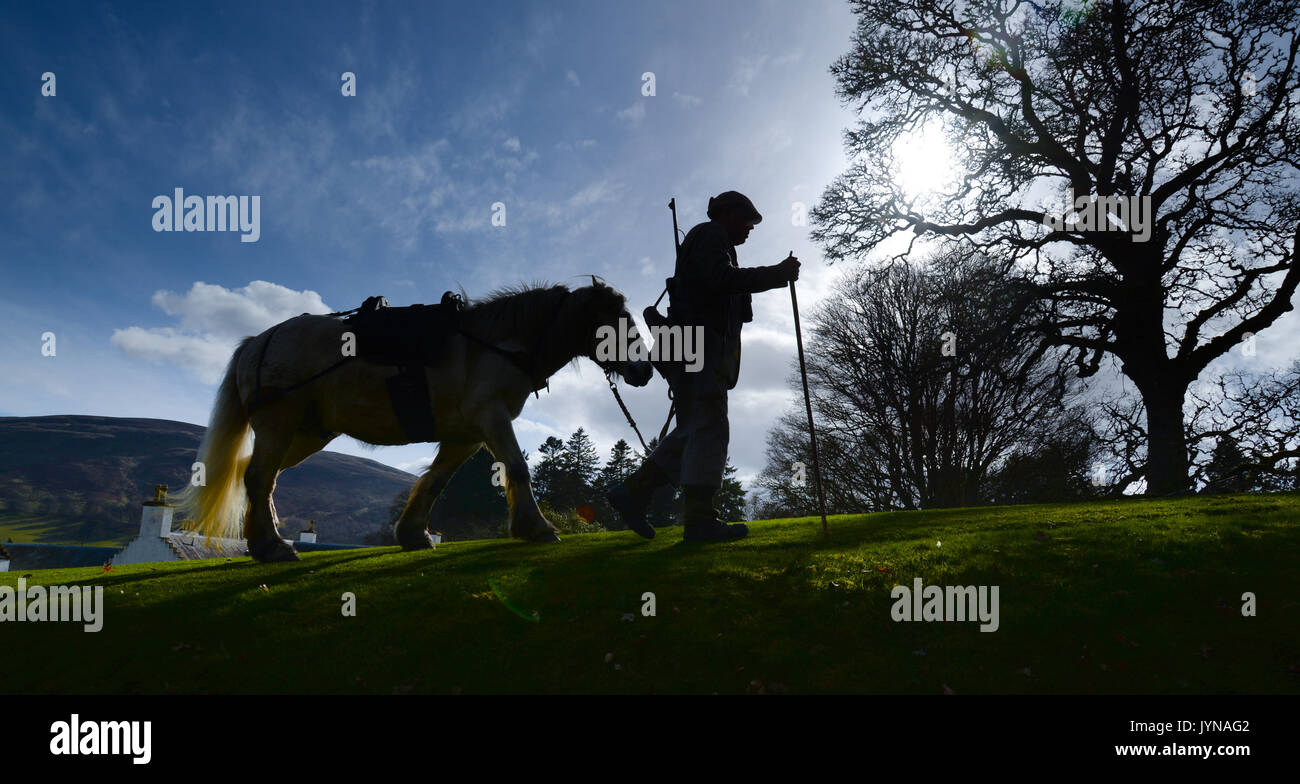Cervo Stalking su Blair Atholl estate in Scozia Foto Stock