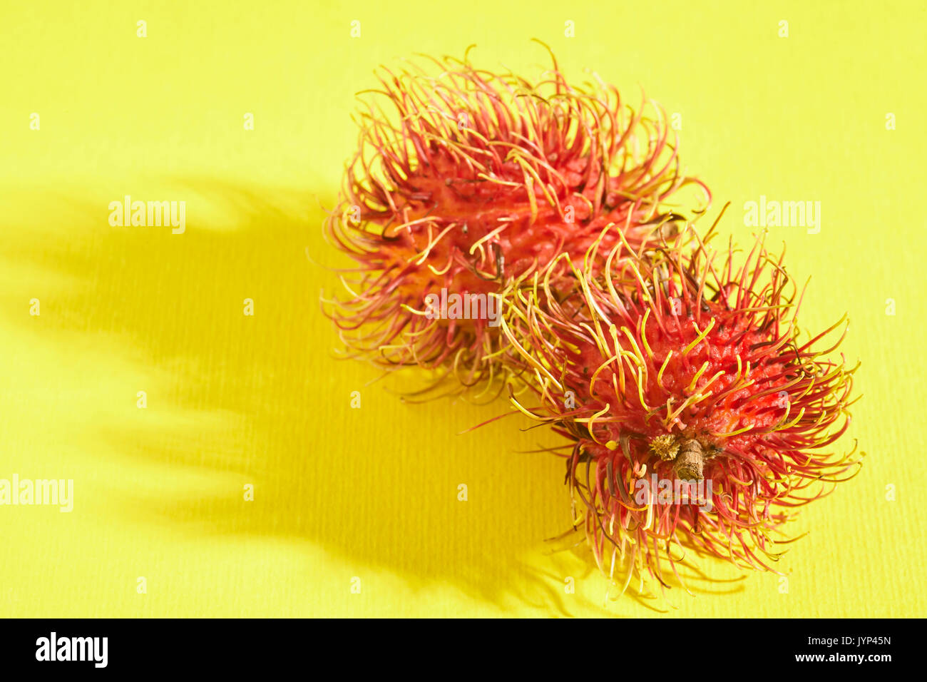 Rambutan, Nephelium lappaceum, un frutto tropicale Foto Stock