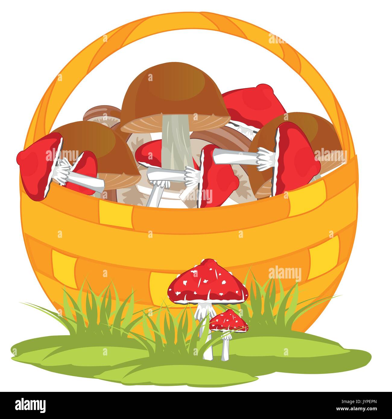 Cesto pieno fungo su sfondo bianco è isolato Illustrazione Vettoriale
