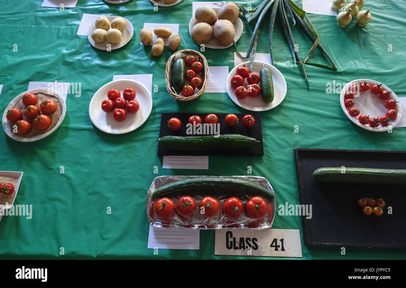 Giardino veg sul display a Stamford Horticultural Society mostra annuale Foto Stock