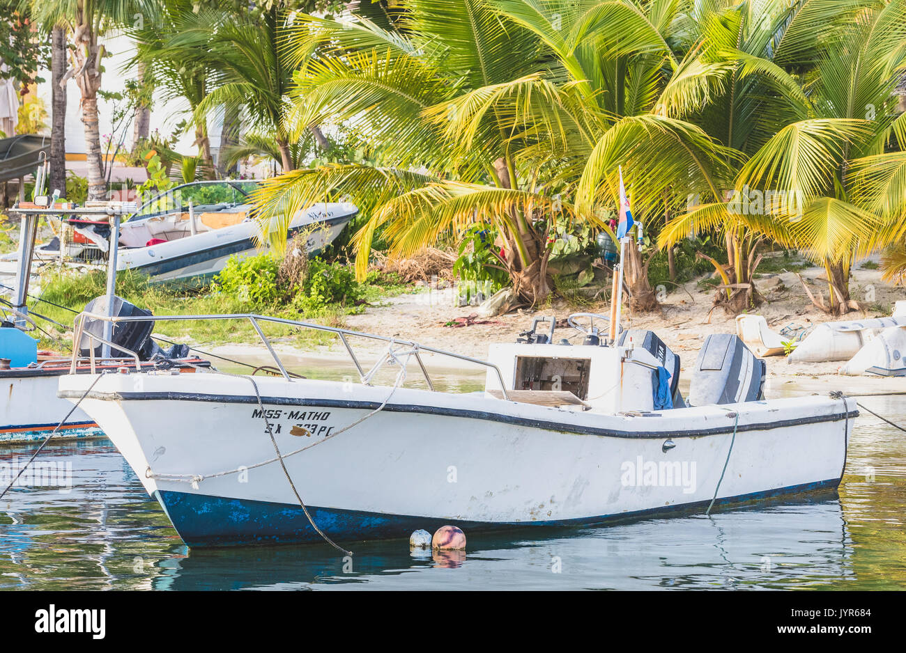 Saint Martin è parte delle Isole Sottovento nel Mar dei Caraibi. Esso comprende 2 paesi separati, diviso tra il suo francese e olandese i lati. Foto Stock