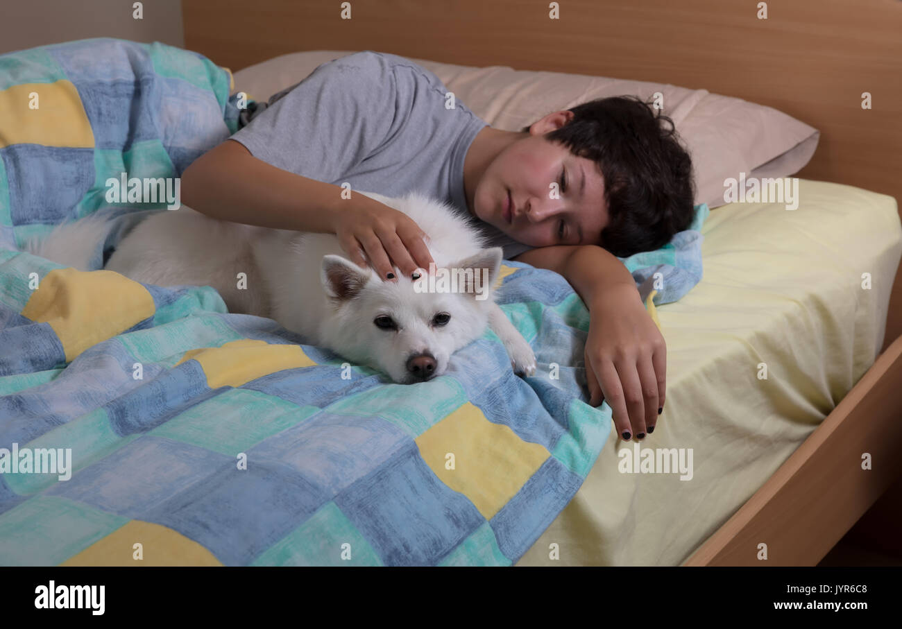 Ragazza petting cane di famiglia dormire mentre dorme nel letto Foto Stock