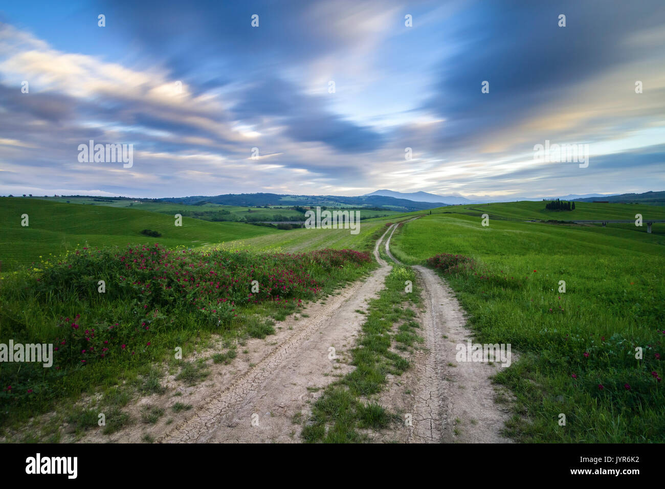 Country Road in Torrenieri, vicino alla famosa Cipressi di San Quirico d'Orcia, San Quirico d'Orcia, Val d'Orcia, Toscana, Italia. Foto Stock