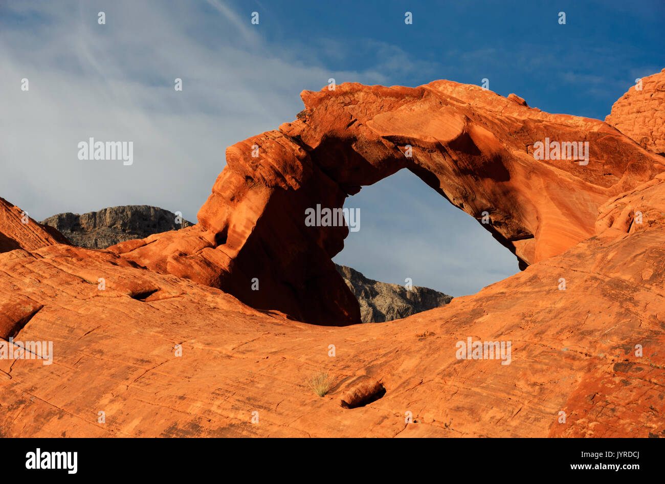 Nord America; Stati Uniti; Nevada; la Valle del Fuoco del parco statale; caratteristiche naturali; deserto; Arch Rock; Dawn. Foto Stock