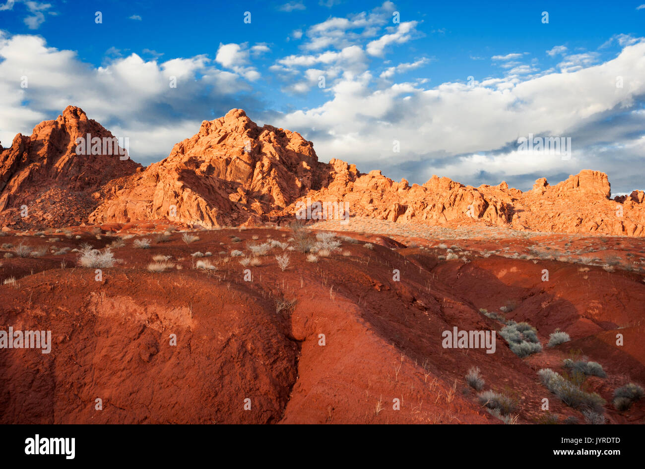 Nord America; Stati Uniti; Nevada; la Valle del Fuoco del parco statale; caratteristiche naturali; deserto; Dawn. Foto Stock