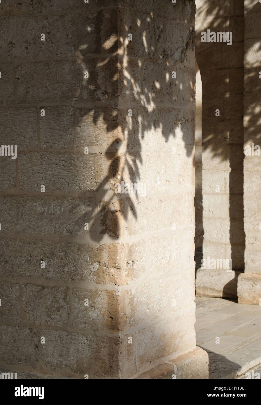 Le ombre dei rami di alberi su colonne ad arco Foto Stock