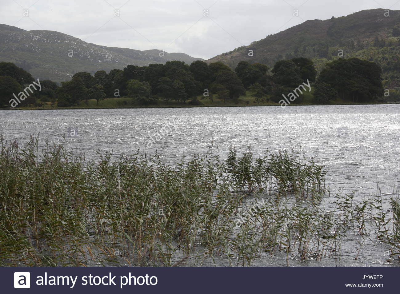 Luce brilla sull'acqua a Lough Gill nella Contea di Sligo Irlanda, una zona del paese che è stato profondamente amato dal poeta W.B. Yeats. Foto Stock