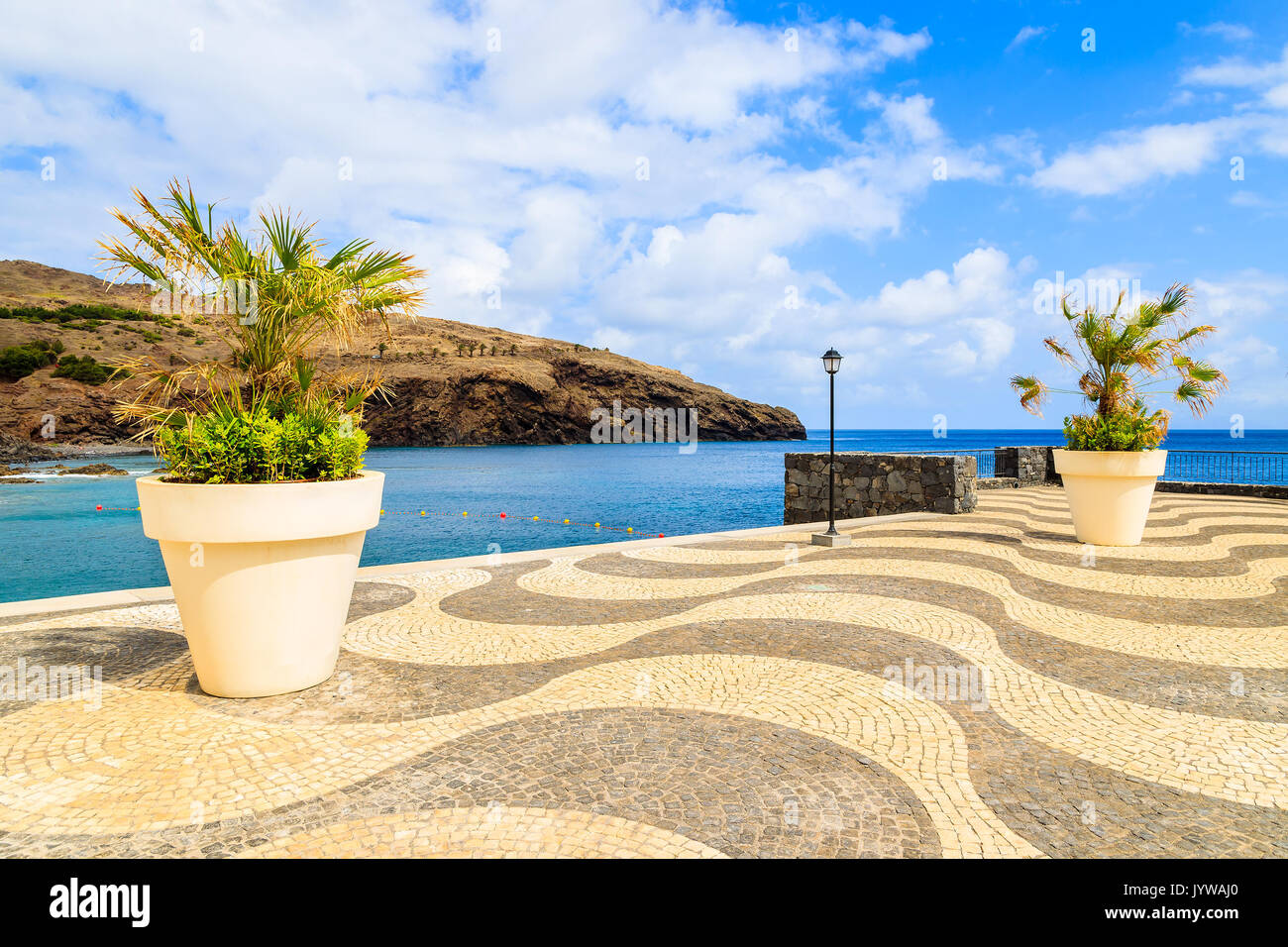 Le palme in vaso sulla passeggiata costiera lungo l'oceano vicino città conico, l'isola di Madeira, Portogallo Foto Stock