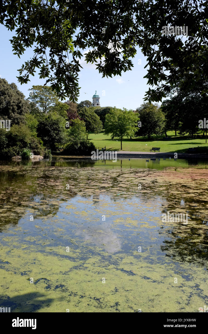 Le alghe sul Queens Park stagno in Brighton Regno Unito Foto Stock