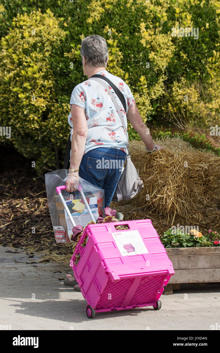 Southport, Merseyside, Regno Unito. 20 Agosto, 2017. Regno Unito Meteo. Soleggiata giornata finale nella località come estate ritorna apporta una grande folla per le città costiere tenendo la sua 88th annuale estivo Flower Show. Il tema scelto per il 2017 mostra era "Il curioso Garden' con Ortolani celebra il senso del mistero, stupore e meraviglia con invisibili giardinieri punteggiati intorno a Victoria Park in attesa di essere scoperto. Il giorno finale vede la grande sell-off quando i cacciatori di affari cancellare i cavalletti e visualizza con prezzi ridotti. Credito; MediaWorldImages/AlamyLiveNews. Foto Stock