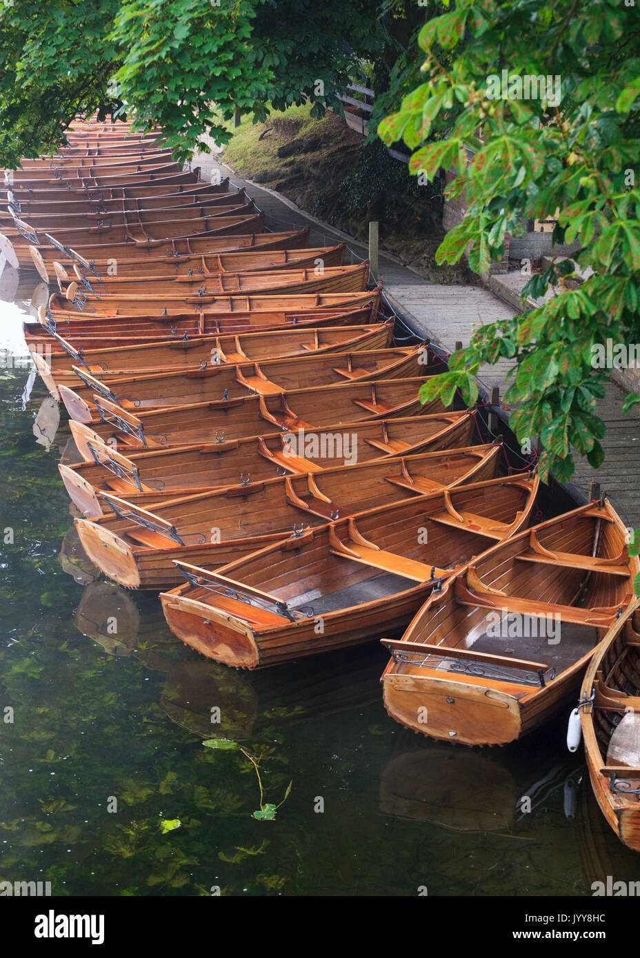 Il canottaggio vanto per noleggiare sul fiume stour in dedham, Essex Foto Stock