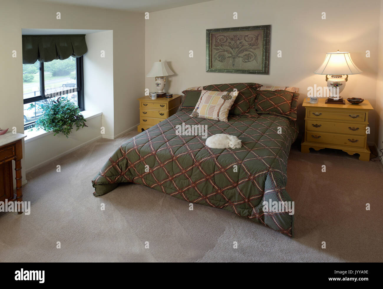 Camera da letto residenziale con gatto sul letto Foto Stock