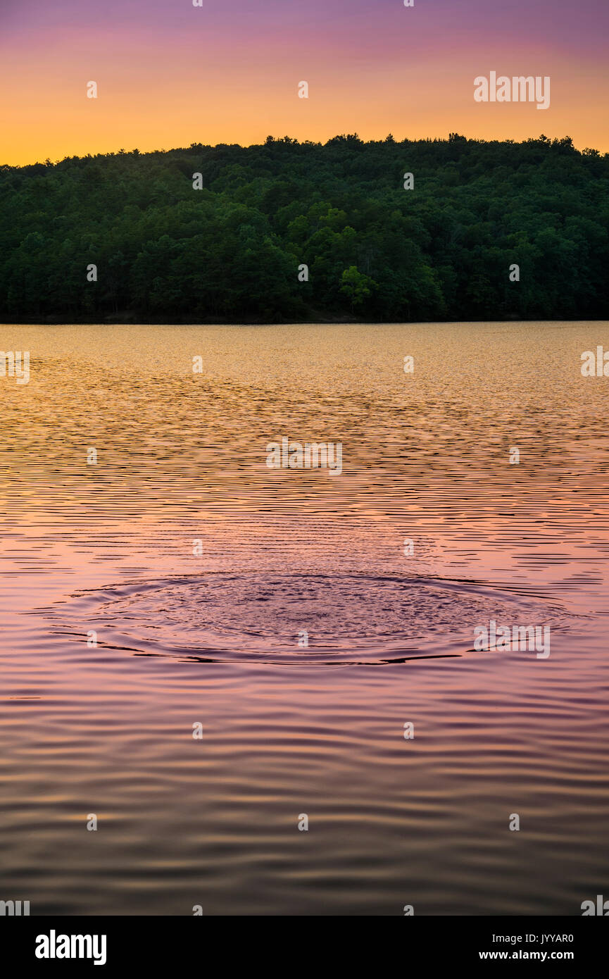 Colorate increspature circolari sul lago al tramonto Foto Stock