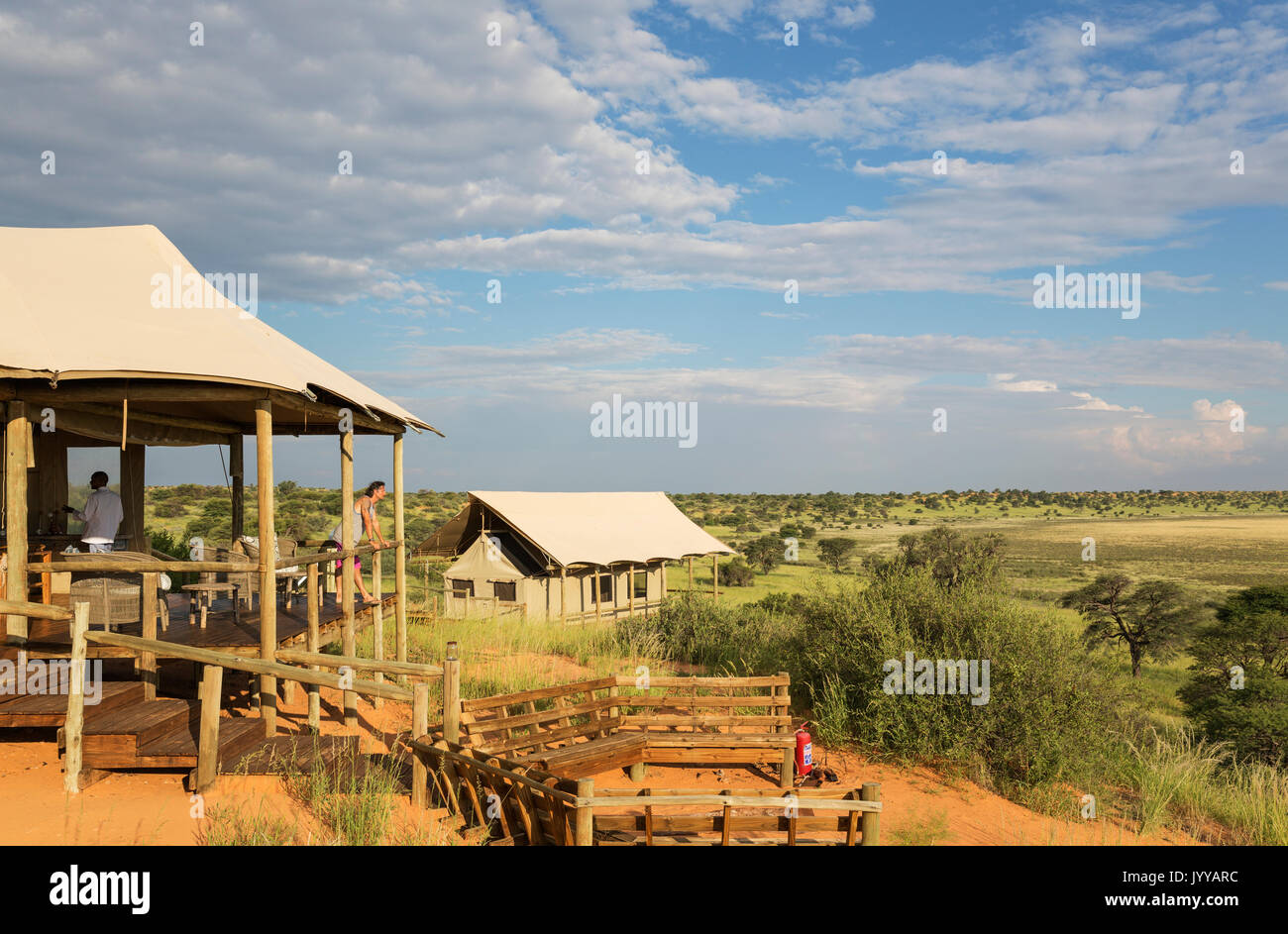 La lobby, camino e stilted tende, Polentswa Camp sul crinale di una duna di sabbia, durante la stagione delle piogge con verde Foto Stock