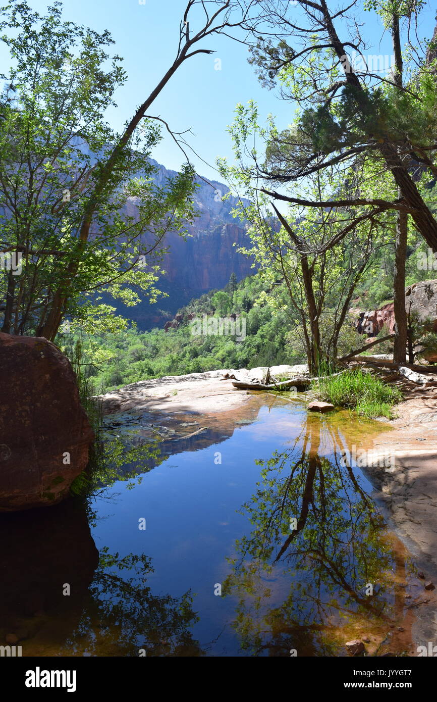 Pool di smeraldo, Parco Nazionale Zion, Utah, Stati Uniti d'America Foto Stock