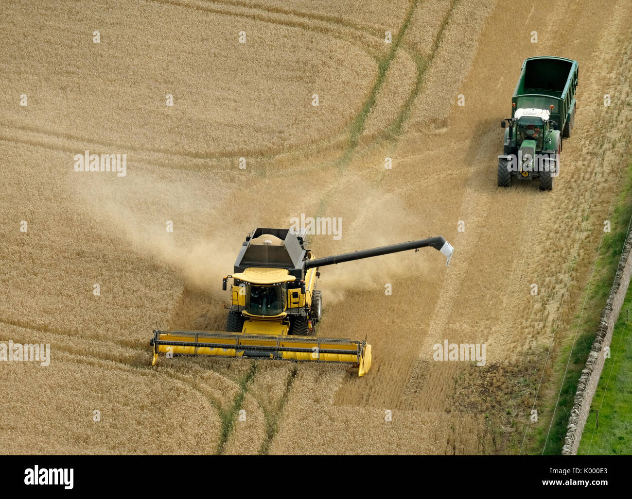 Una mietitrebbia che lavora in un campo di grano vicino a North Berwick East Lothian. Foto Stock