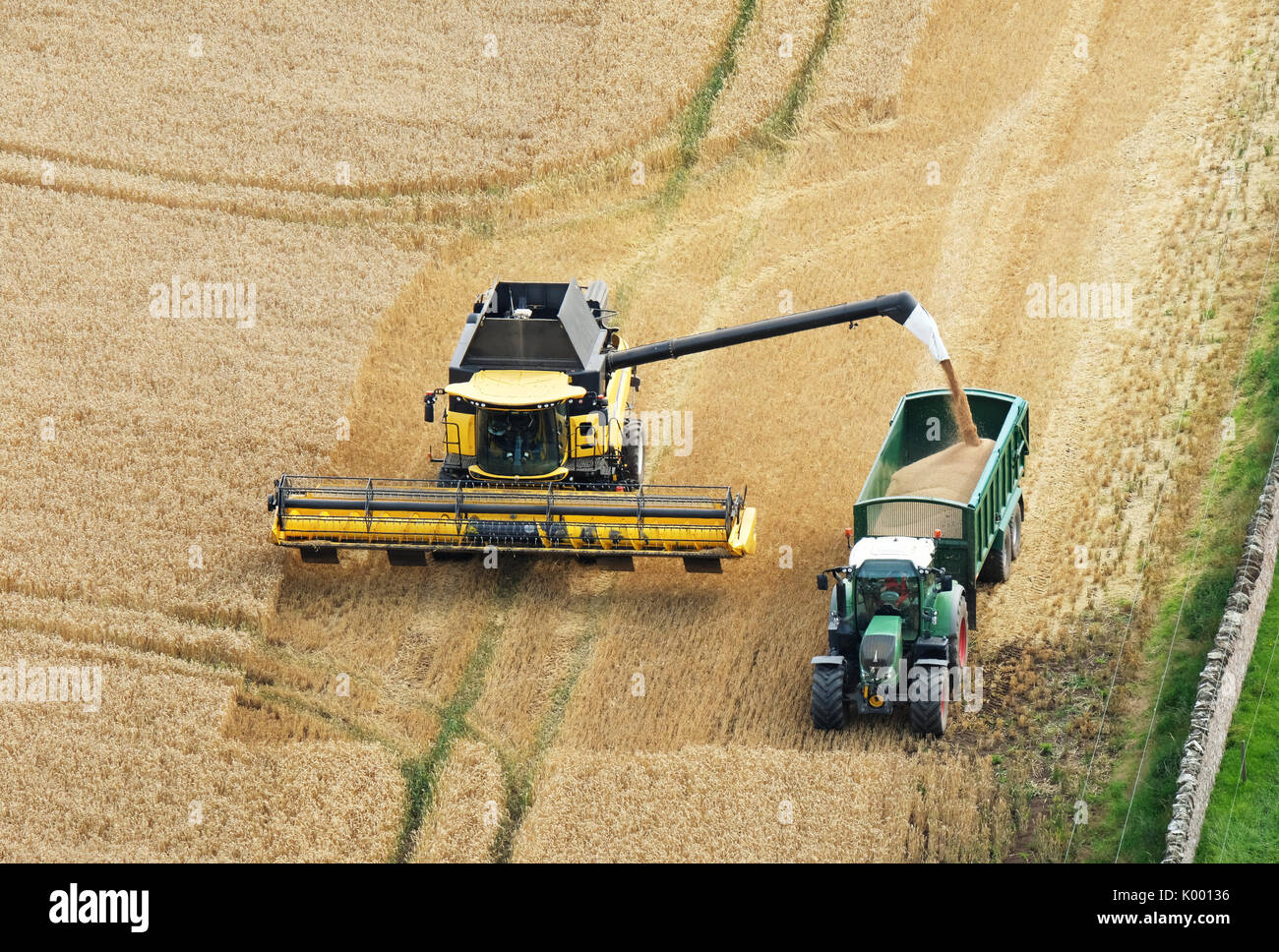 Una mietitrebbia che lavora in un campo di grano vicino a North Berwick East Lothian. Foto Stock
