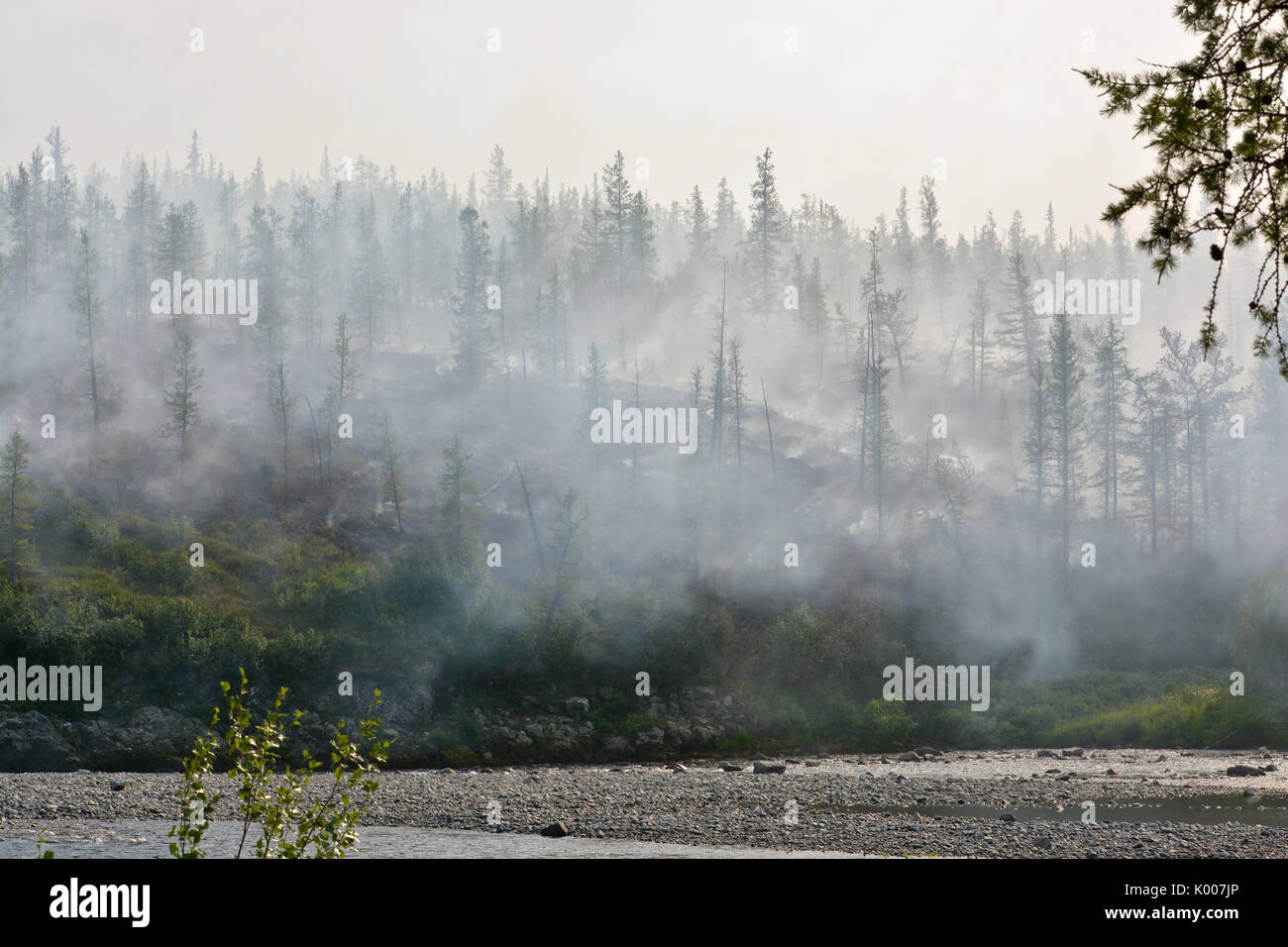 Gli incendi boschivi. Foresta settentrionale fuoco e fumo. Foto Stock