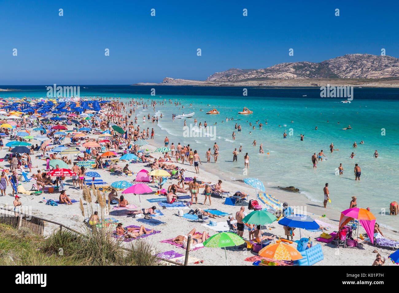 Bagnanti nel mare turchese spiaggia della Pelosa Stintino Parco Nazionale dell'Asinara Provincia di Sassari Sardegna Italia Europa Foto Stock