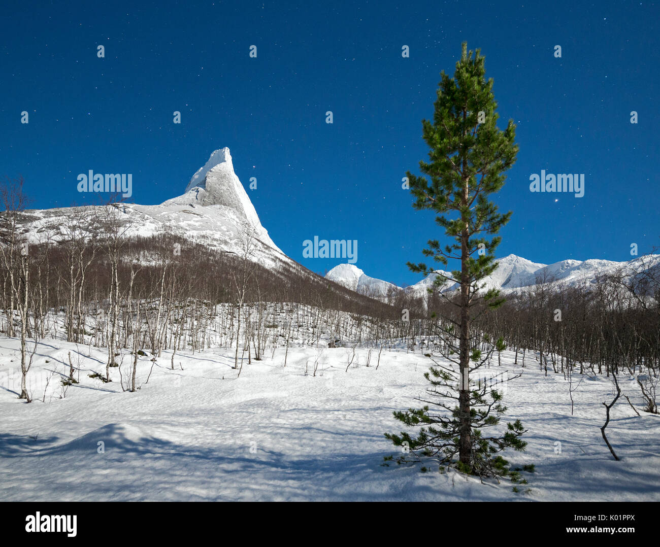 Alberi e bosco telaio granitico la cima innevata del Monte Stetind sotto il cielo stellato Tysfjord Nordland Norvegia Europa Foto Stock