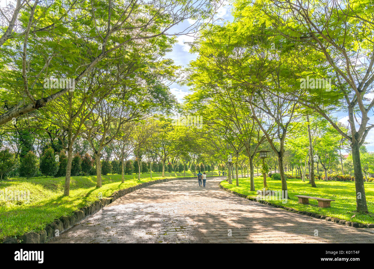Coppia felice camminare insieme verso la fine della strada in eco turismo con due file di alberi verdi ornano il romantico scenario per honeymoom Foto Stock