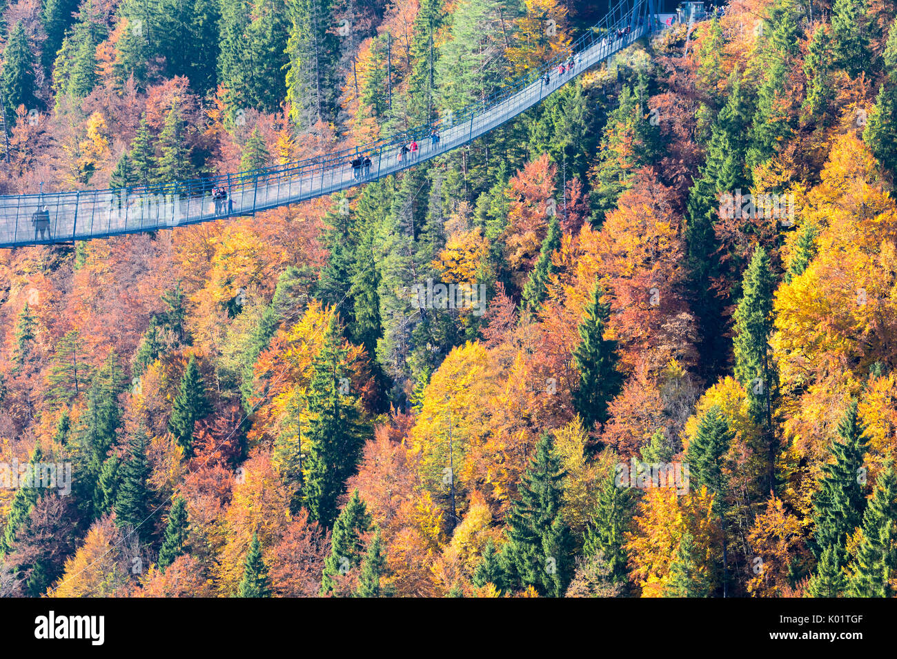 I turisti sulla sospensione ponte denominato Highline 179 incorniciato da boschi colorati in autunno il castello di Ehrenberg Reutte Austria Europa Foto Stock