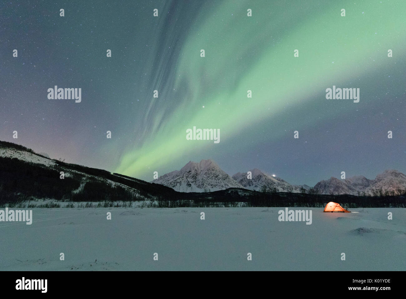 Una tenda nella neve illuminato da luci del nord e il cielo stellato di notte polare Svensby Alpi Lyngen Tromsø Norvegia Europa Foto Stock
