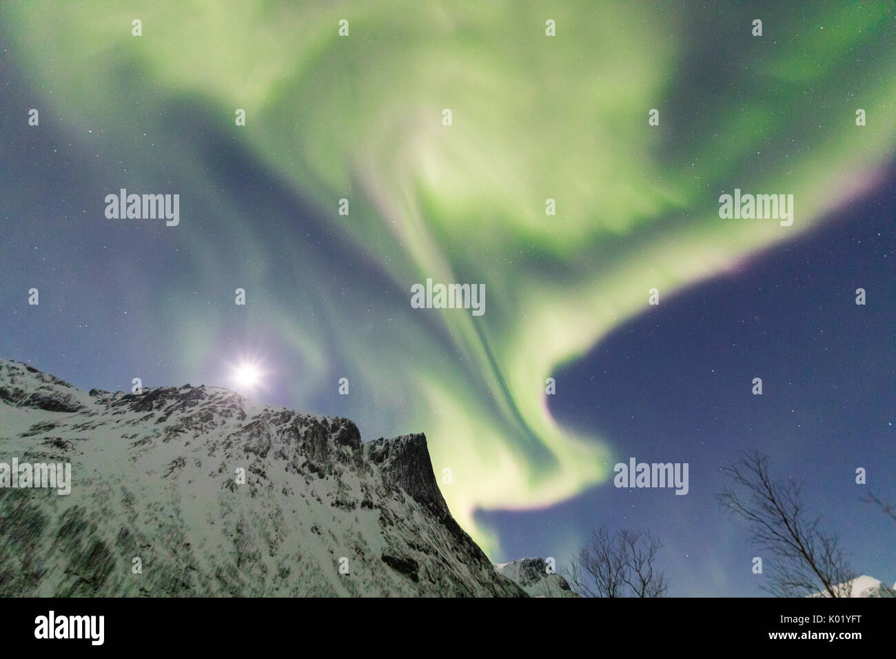 Luci del nord e stelle sulle cime innevate nel polare notte artica Bergsbotn Senja Tromsø Norvegia Europa Foto Stock
