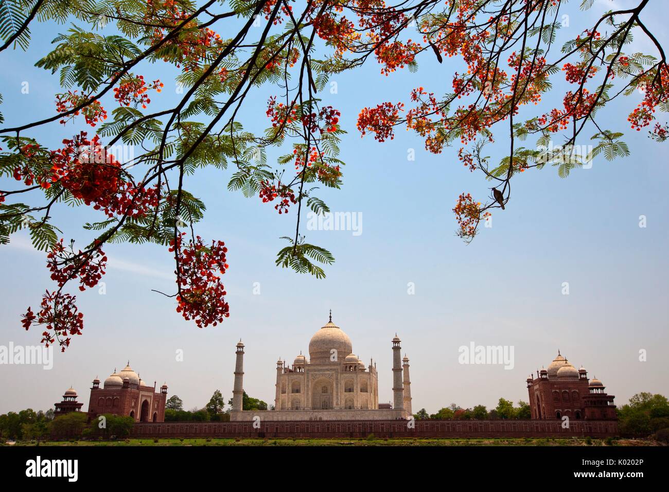 Il magnifico Taj Mahal è una delle sette meraviglie del mondo ed è un sito Patrimonio Mondiale dell'UNESCO. Si tratta di un marmo bianco mausoleo situato in Ag Foto Stock