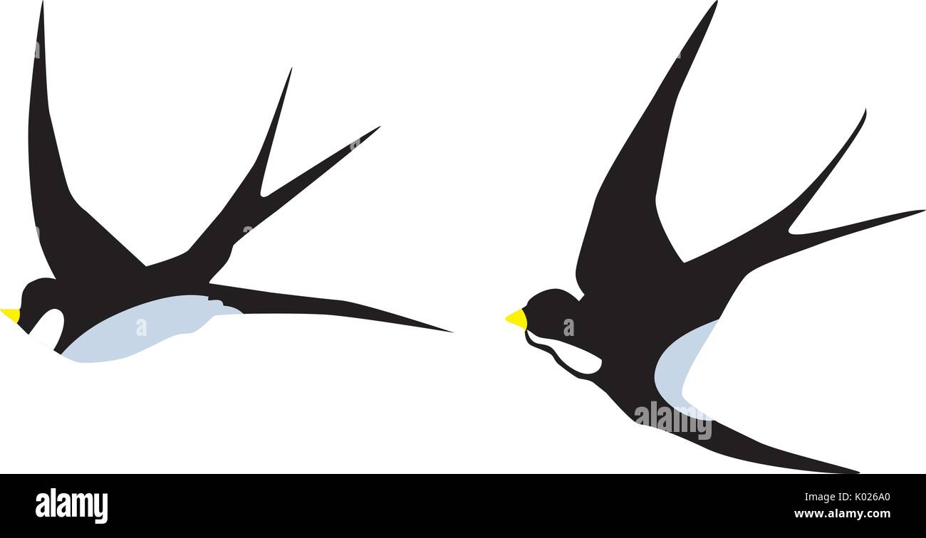 Illustrazione vettoriale di swallow uccelli sagome Illustrazione Vettoriale