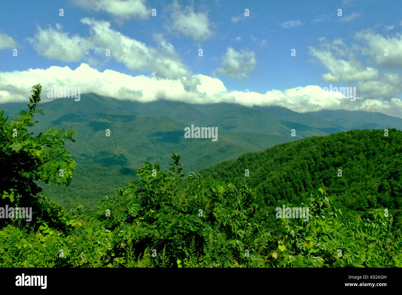 Paesaggio di montagna Foto Stock