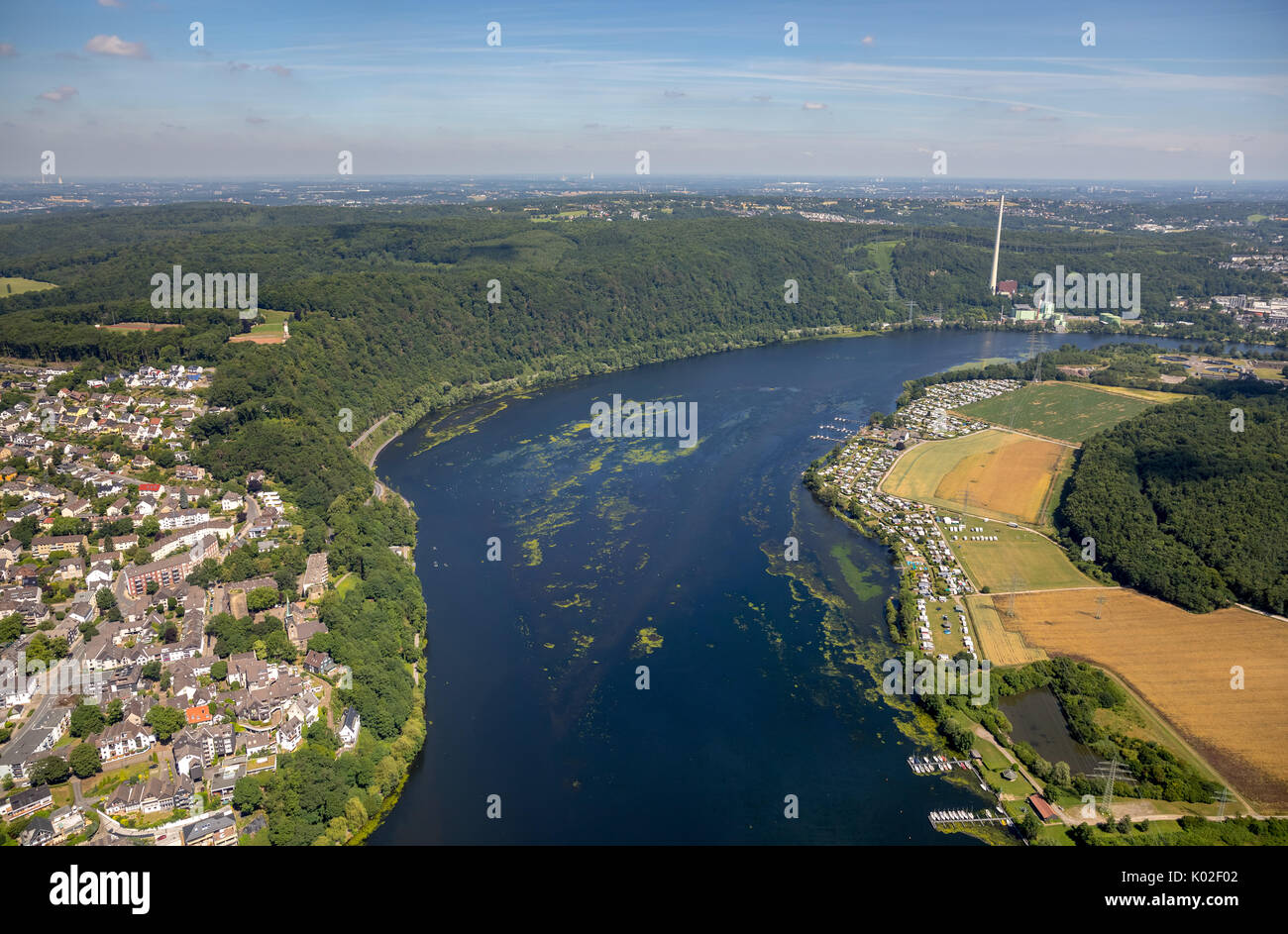 Panoramica dell'intera Harkortsee, fuoriuscite di acqua specie Elodea nuttallii nel Harkortsee, Wetter (Ruhr), la zona della Ruhr, Northrhein-Westphalia, Germania, e Foto Stock