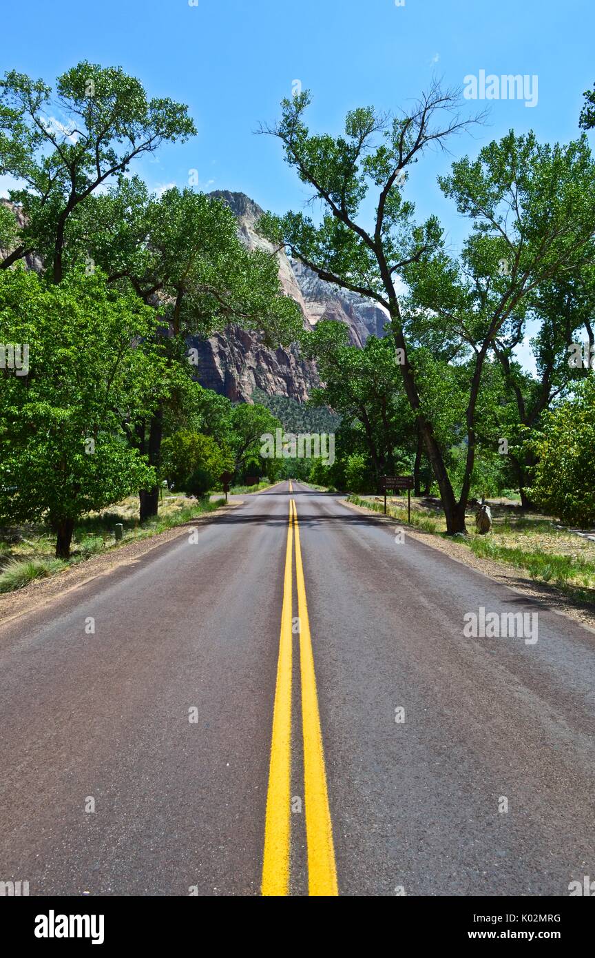 Strada alberata a Zion National Park nello Utah. Foto Stock