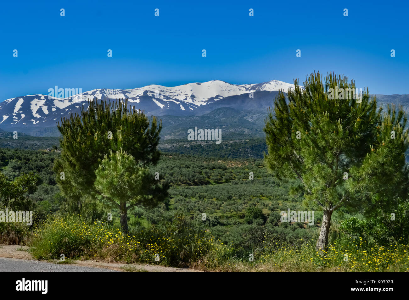 Vista sulle montagne del Monte Ida nel centro di creta Foto Stock