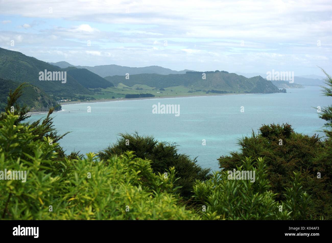Punto Tokata, Baia di Planty Nuova Zelanda Foto Stock