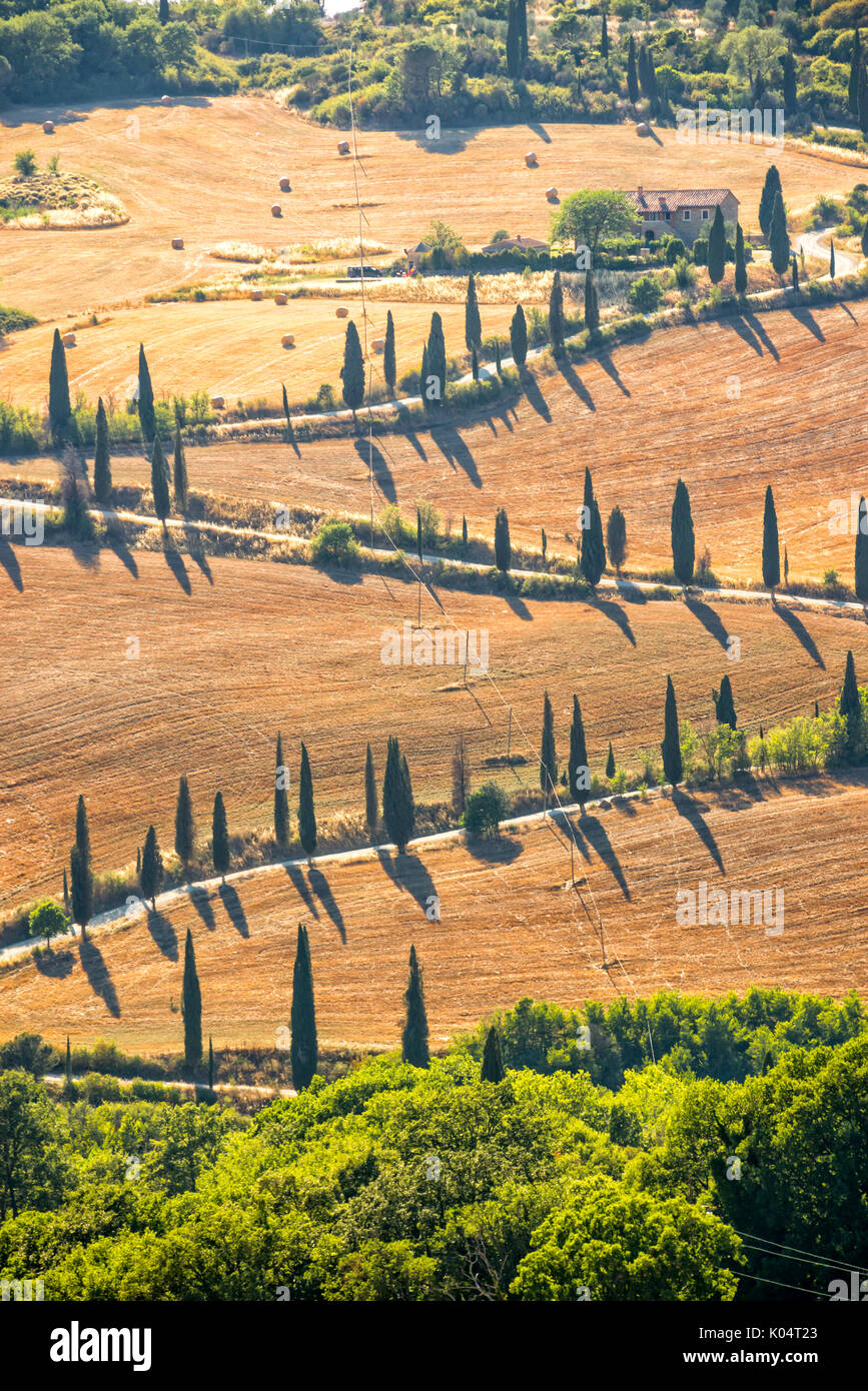 Bellissimo paesaggio tipico della toscana con filari di cipressi, La Foce, Toscana, Italia Foto Stock