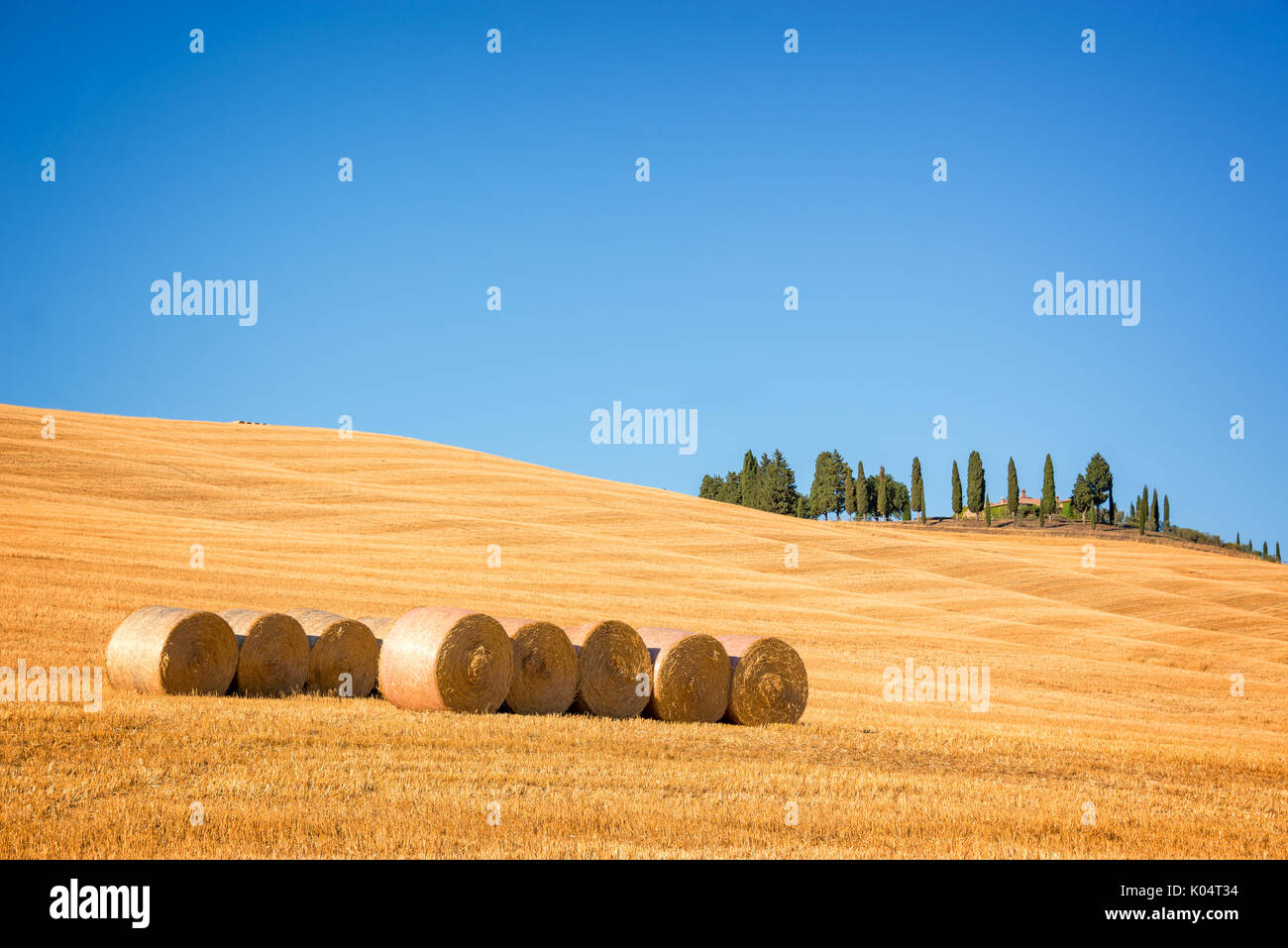 Bellissimo paesaggio tipico della Val d'Orcia in Toscana con balle di fieno in un campo in estate, Val d'Orcia, Toscana, Italia Foto Stock