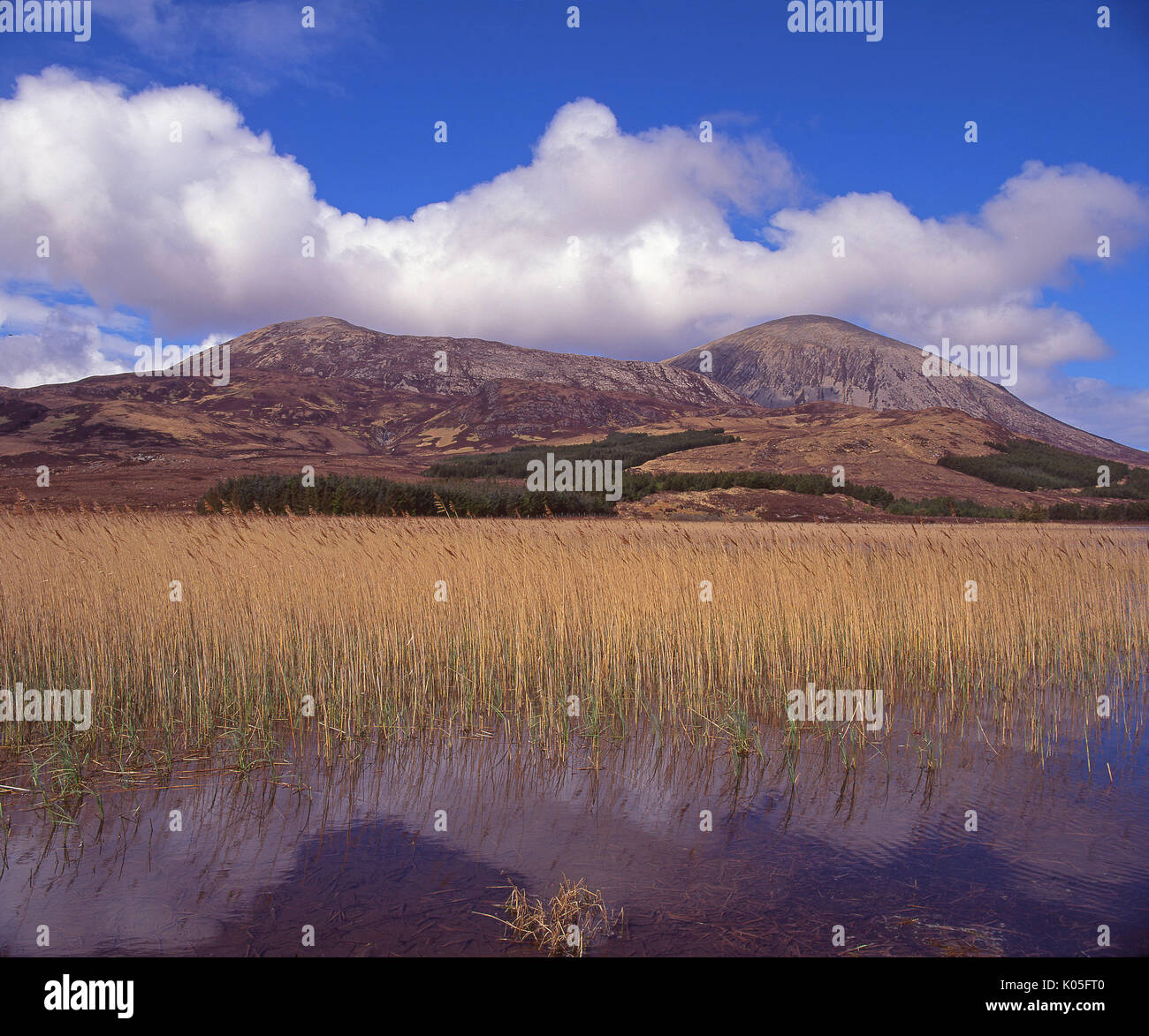 Molla di incantevole vista delle colline rosse dalle sponde del Loch Cillchriosd, Strath Suardal, Isola di Skye Foto Stock
