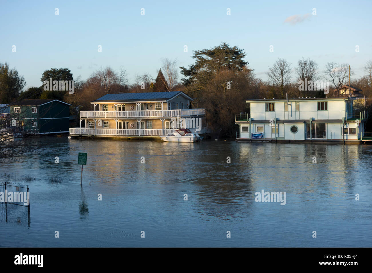 Il fiume Tamigi inondazioni a Molesey Foto Stock