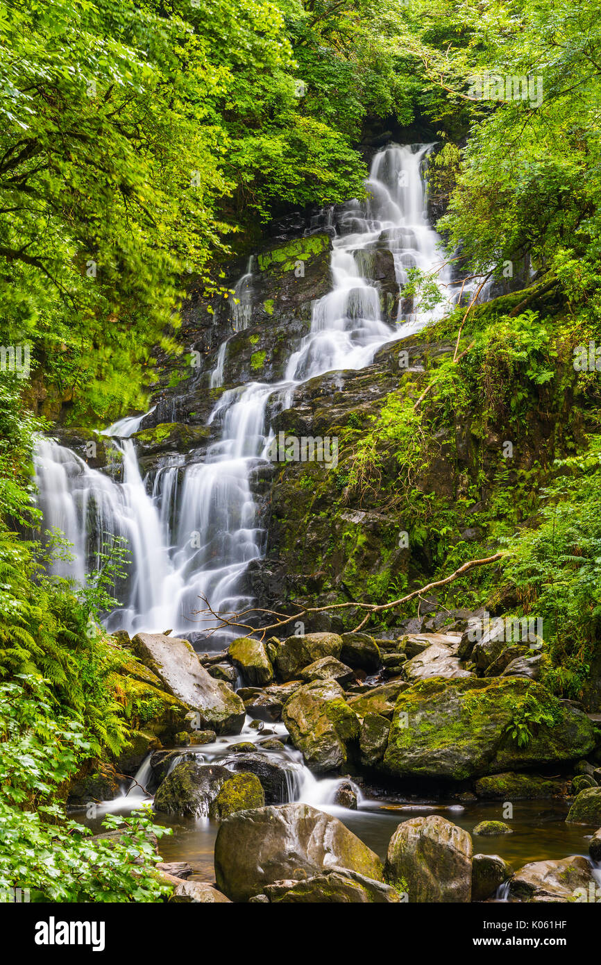 Cascata Torc è una cascata presso la base di Torc Mountain, a circa 8.0 km da Killarney nella Contea di Kerry, Irlanda Foto Stock