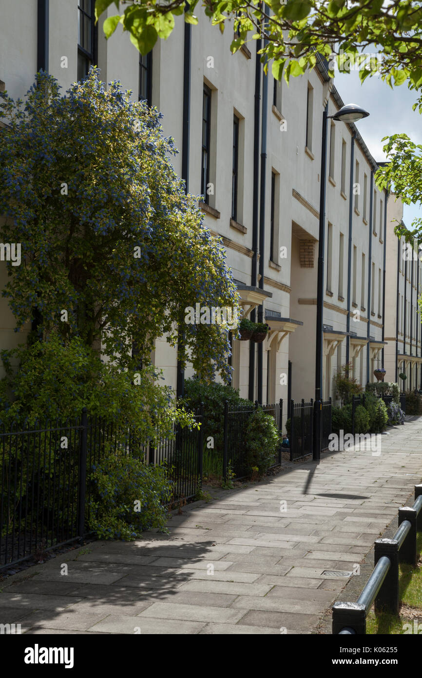 Una foglia di strada-scena contemporanea di Eco-design homes in Upton a sud-ovest di distretto sobborgo di Northampton, Inghilterra, Regno Unito. Foto Stock